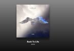Zayn - Back To Life Lyrics, Şarkı Sözleri
