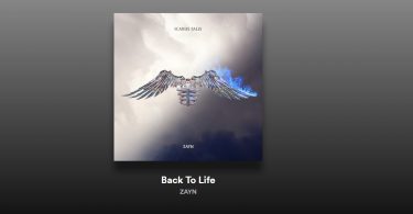 Zayn - Back To Life Lyrics, Şarkı Sözleri