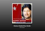 Ahmet Şafak - Gözüne Gözlük, Eline Sözlük şarkı sözleri