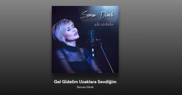 Sercan Direk - Gel Gidelim Uzaklara Sevdiğim Şarkı Sözleri