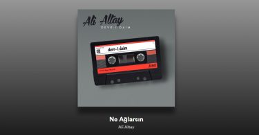 Ali Altay - Ne Ağlarsın Şarkı Sözleri
