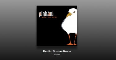 Pinhani - Derdim Dostum Benim Şarkı Sözleri