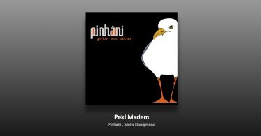 Pinhani & Melis Danişmend- Peki Madem Şarkı Sözleri