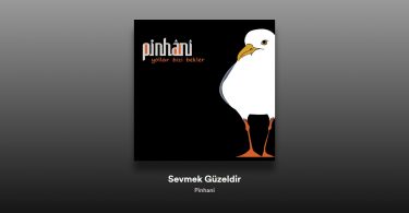 Pinhani - Sevmek Güzeldir Şarkı Sözleri