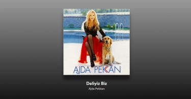 Ajda Pekkan - Deliyiz Biz Şarkı Sözleri
