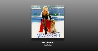 Ajda Pekkan - Dert Bende Şarkı Sözleri