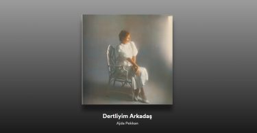Ajda Pekkan - Dertliyim Arkadaş Şarkı Sözleri