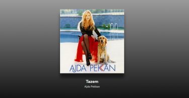 Ajda Pekkan - Tazem Şarkı Sözleri