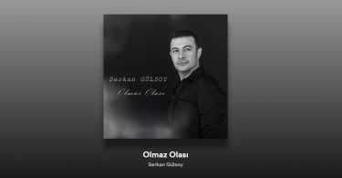 Serkan Gülsoy – Olmaz Olası Şarkı Sözleri