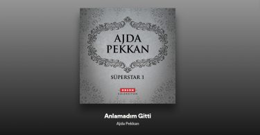 Ajda Pekkan - Anlamadım Gitti Şarkı Sözleri