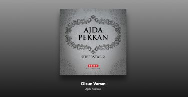 Ajda Pekkan - Olsun, Varsın Şarkı Sözleri