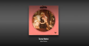 Ajda Pekkan - İçme Sakın (Signorina Concertina) Şarkı Sözleri