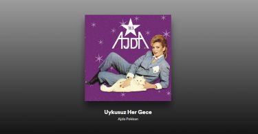 Ajda Pekkan - Uykusuz Her Gece (Working Late Tonight) Şarkı Sözleri