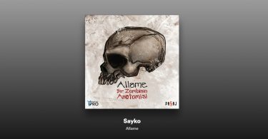 Allâme - Sayko Şarkı Sözleri