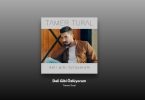 Tamer Tural - Deli Gibi Özlüyorum Şarkı Sözleri