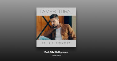 Tamer Tural - Deli Gibi Özlüyorum Şarkı Sözleri