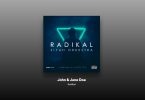 Radikal - John & Jane Doe Şarkı Sözleri
