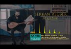 Serkan Reçber - Ne Gezer Şarkı Sözleri