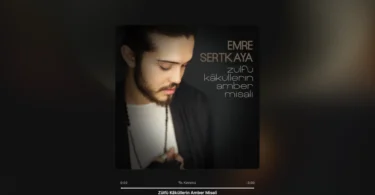 Emre Sertkaya - Zülfü Kâküllerin Amber Misali Şarkı Sözleri